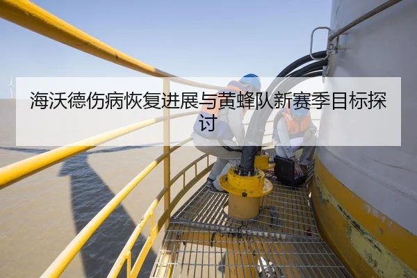 海沃德伤病恢复进展与黄蜂队新赛季目标探讨